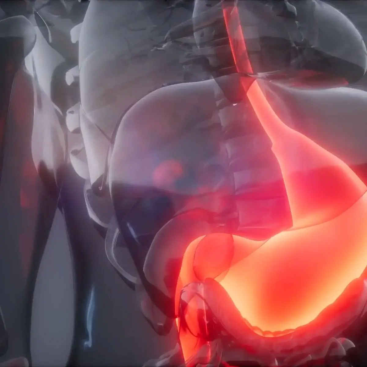 Magenkrebs (Magenkarzinom) Logo von Magenkrebs (Magenkarzinom)