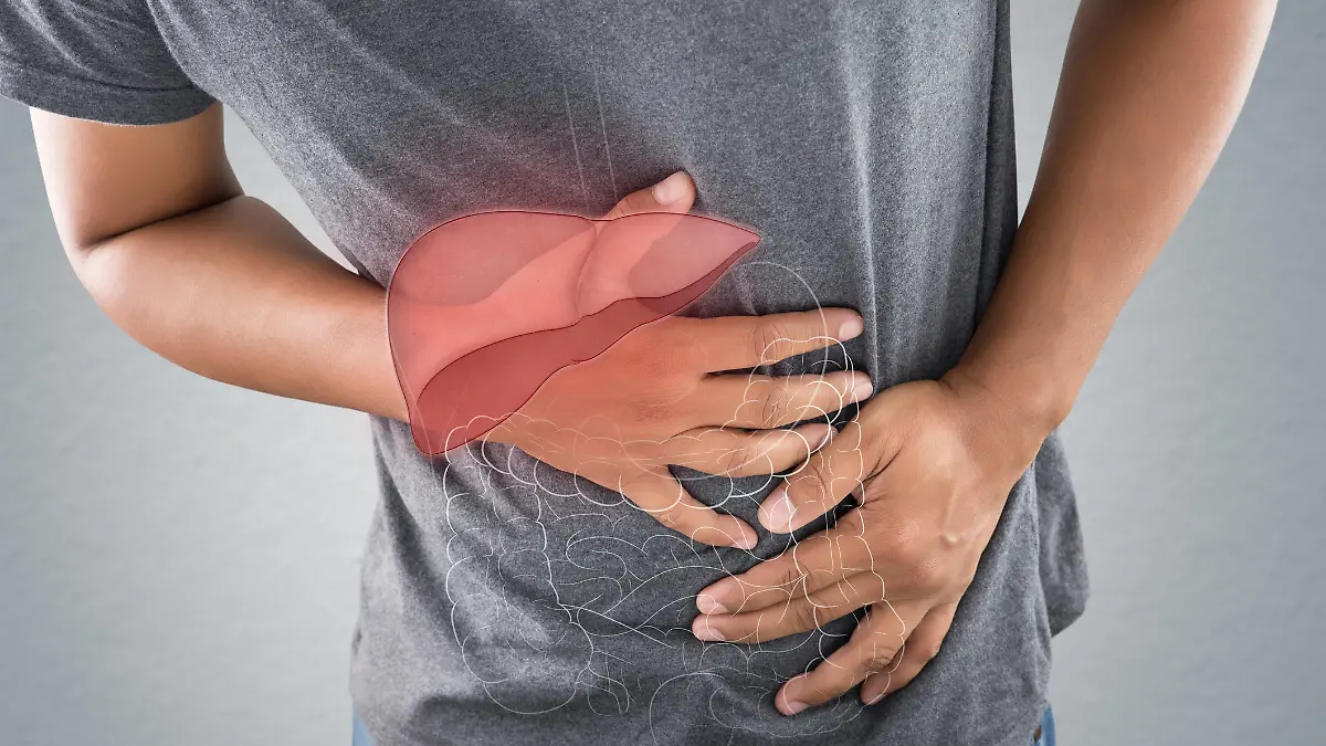 Gesundheitslexikon: Gamma-GT