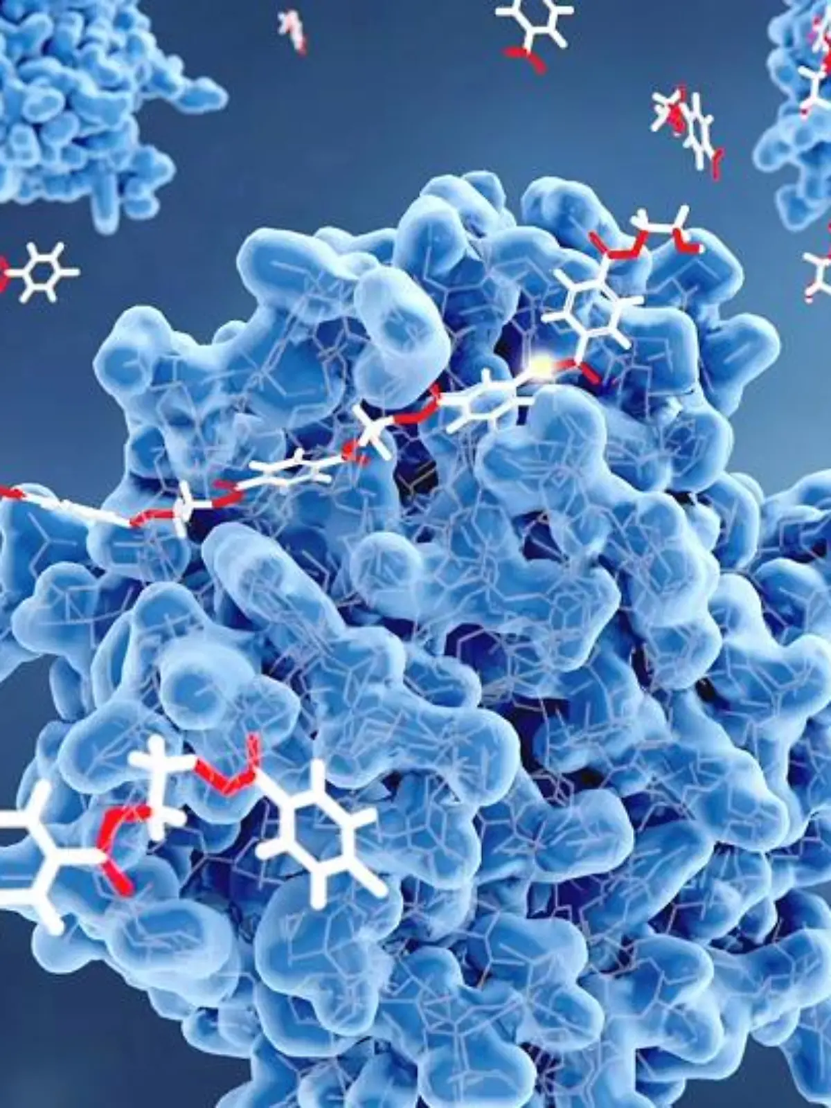 Bild zu: "Enzyme"