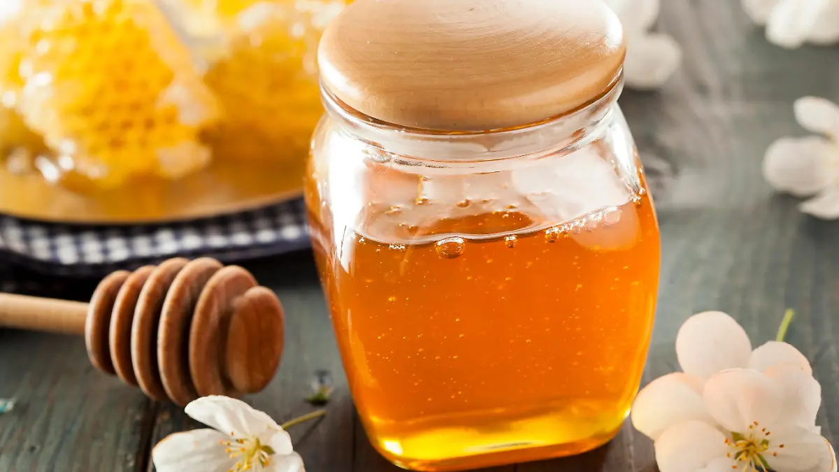 Organic Raw Golden Honey Comb on a Background