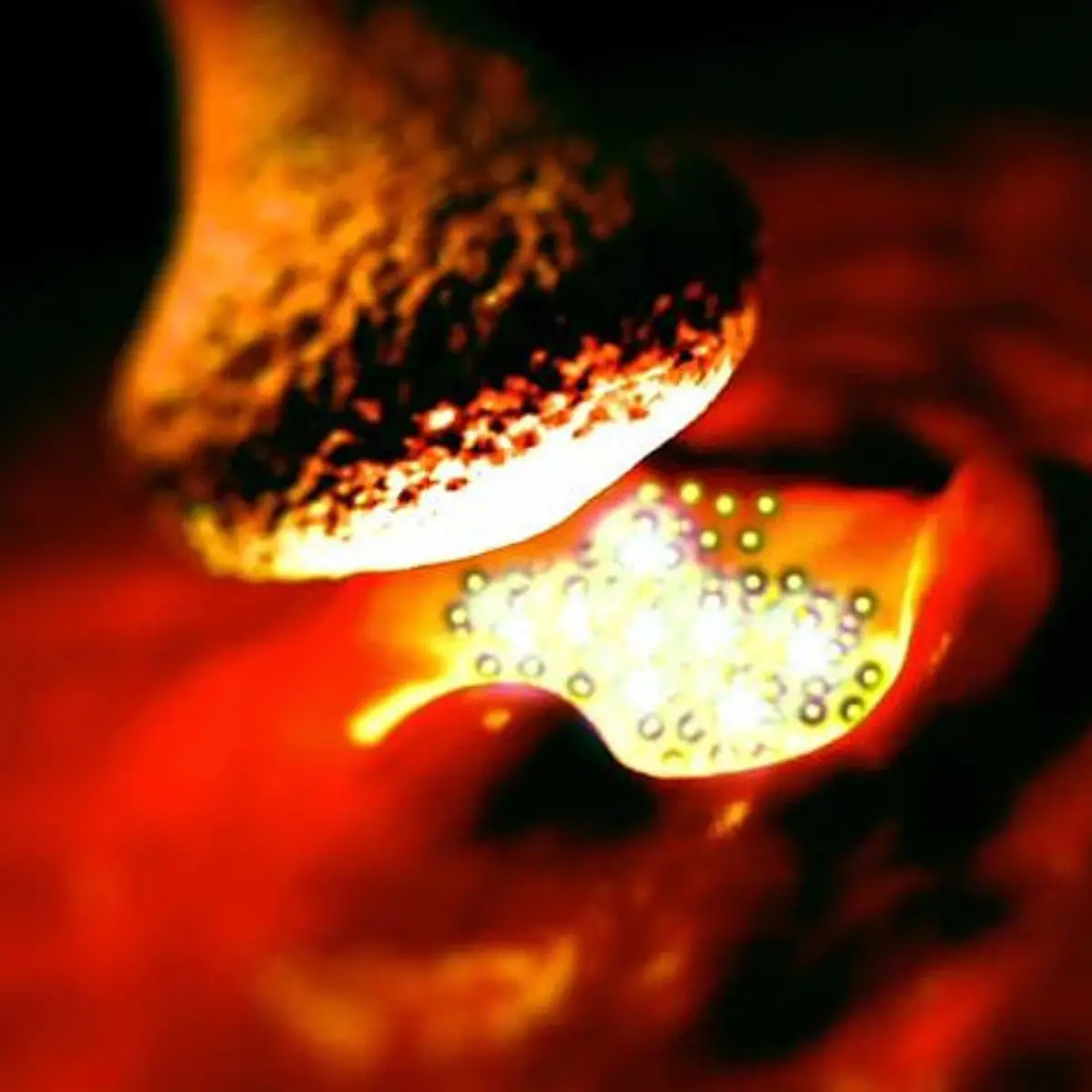 Myasthenia gravis (Myasthenie) Logo von Myasthenia gravis (Myasthenie)