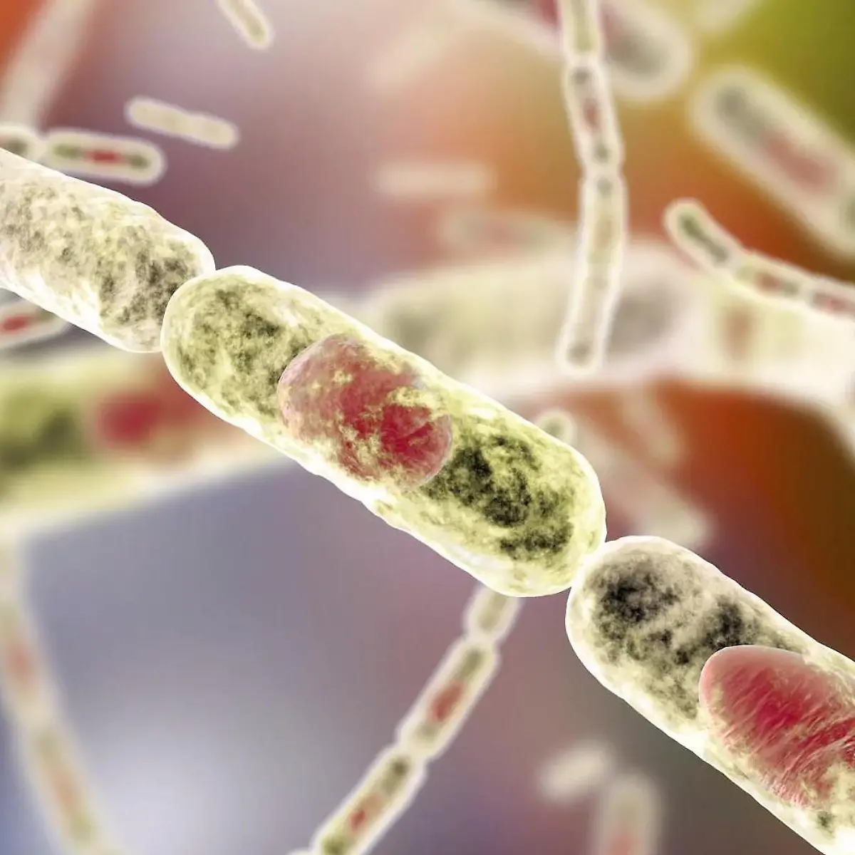 Milzbrand (Anthrax) Logo von Milzbrand (Anthrax)