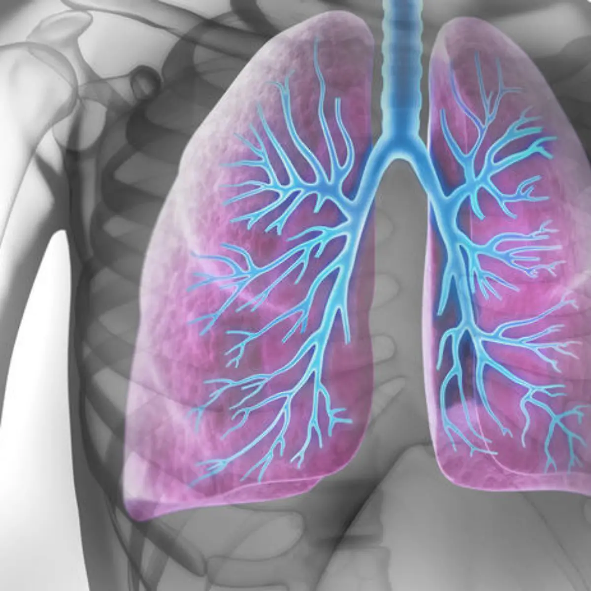 Pleura Logo von Pleura