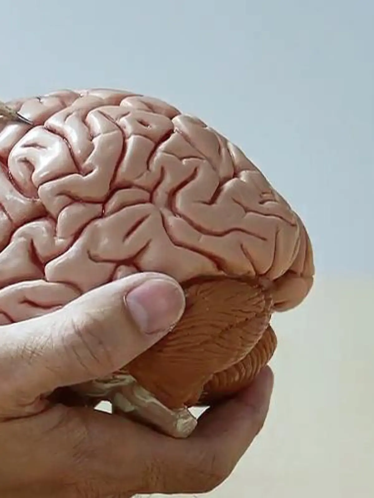 Bild zu: "Hydrocephalus (Wasserkopf)"