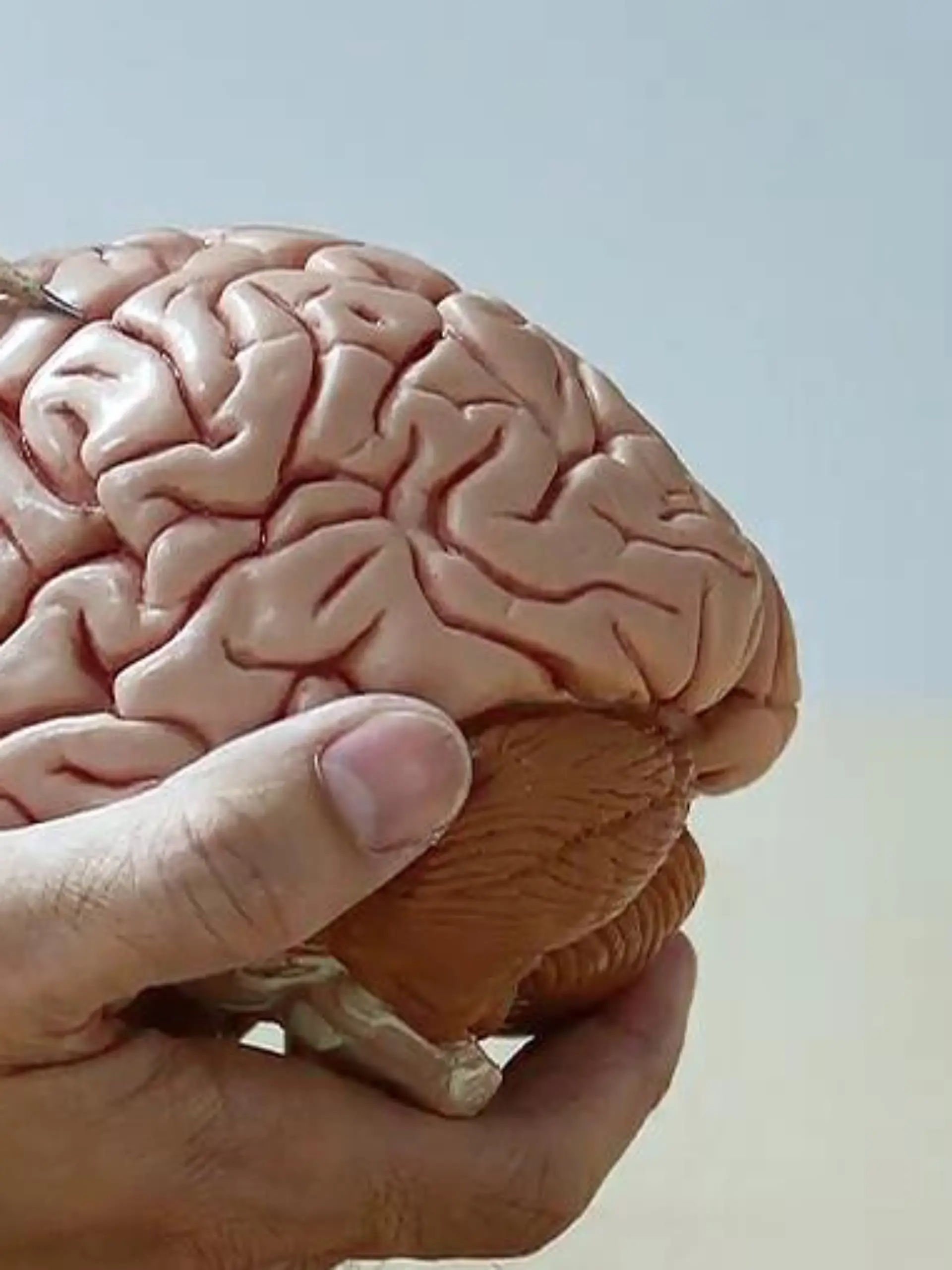Bild zu: "Hydrocephalus (Wasserkopf)"