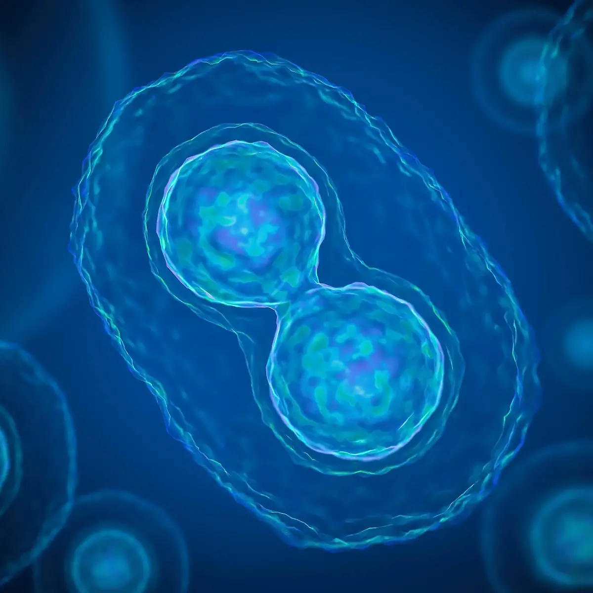 Meiose Logo von Meiose