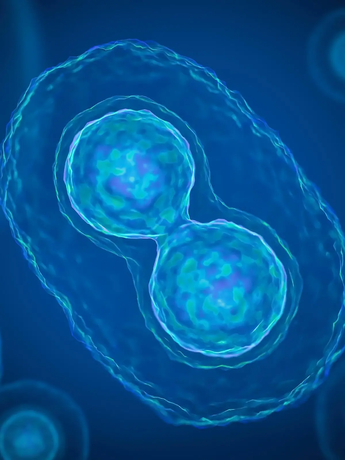Gesundheitslexikon: Meiose