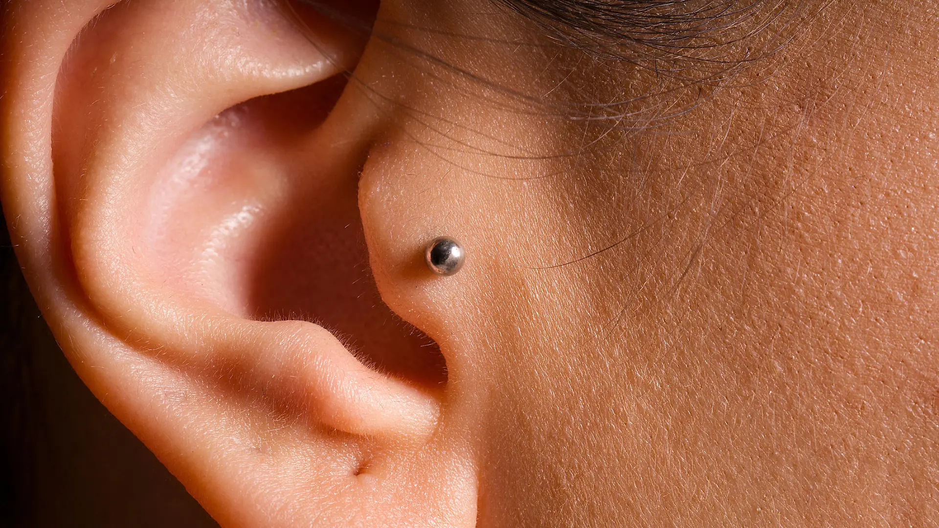 Gesundheitslexikon: Tragus