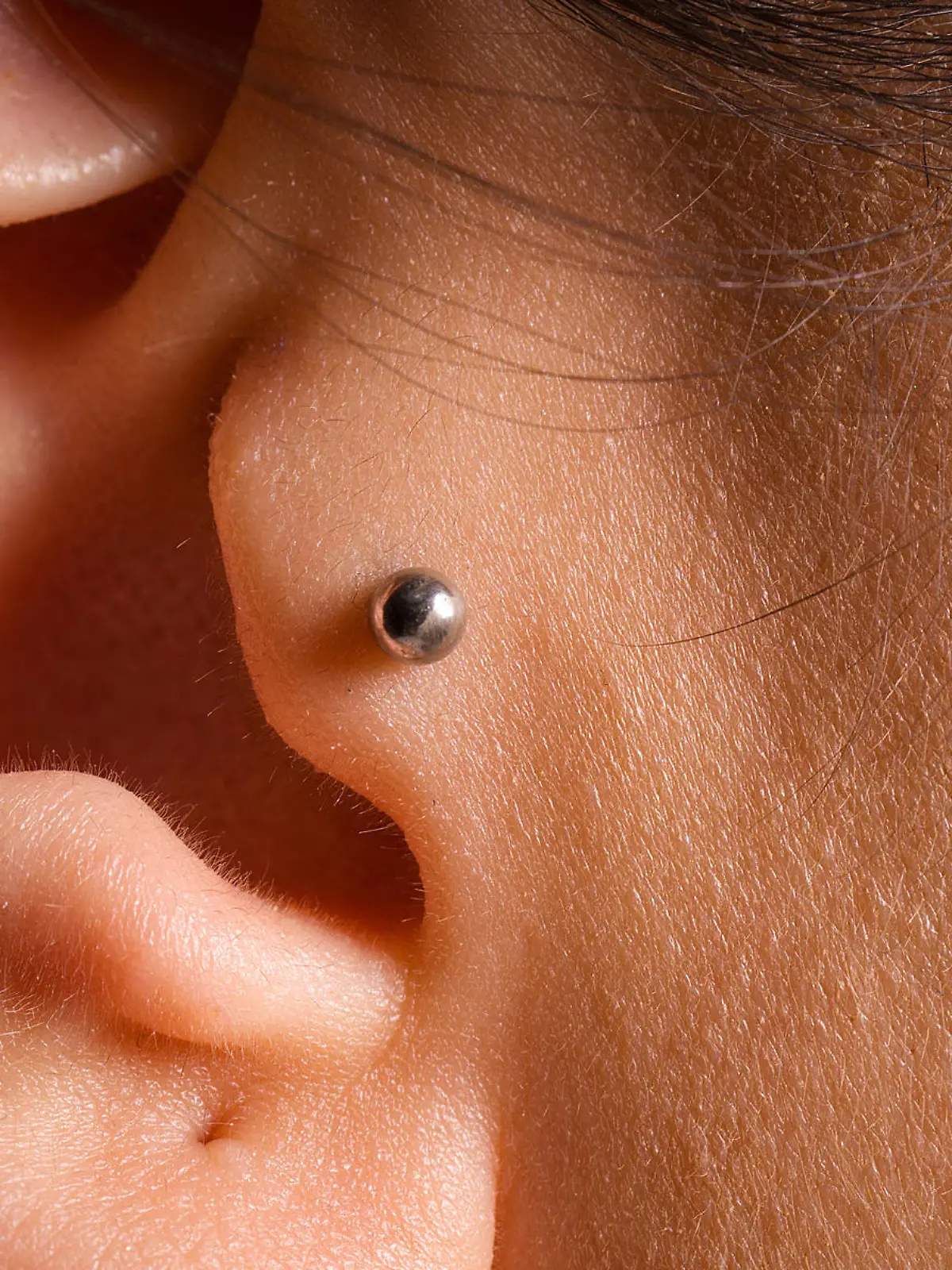 Gesundheitslexikon: Tragus