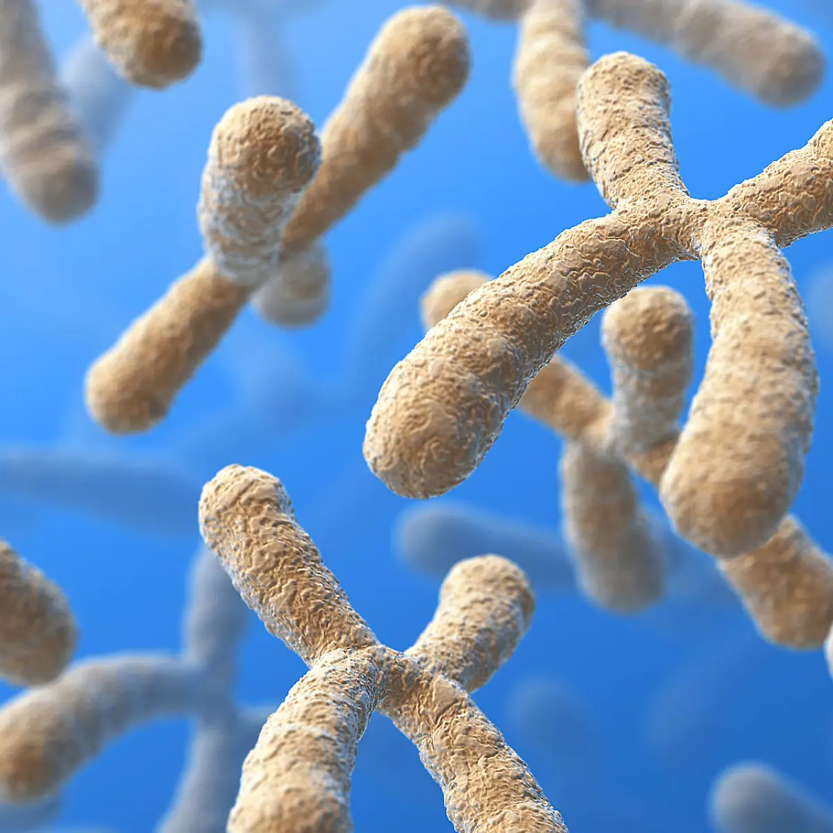 Turner-Syndrom Logo von Turner-Syndrom