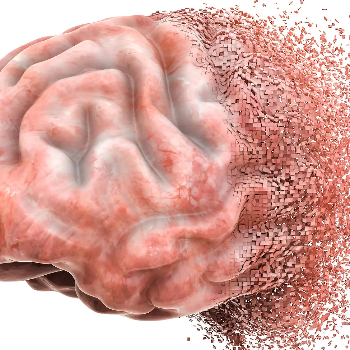 Apraxie Logo von Apraxie