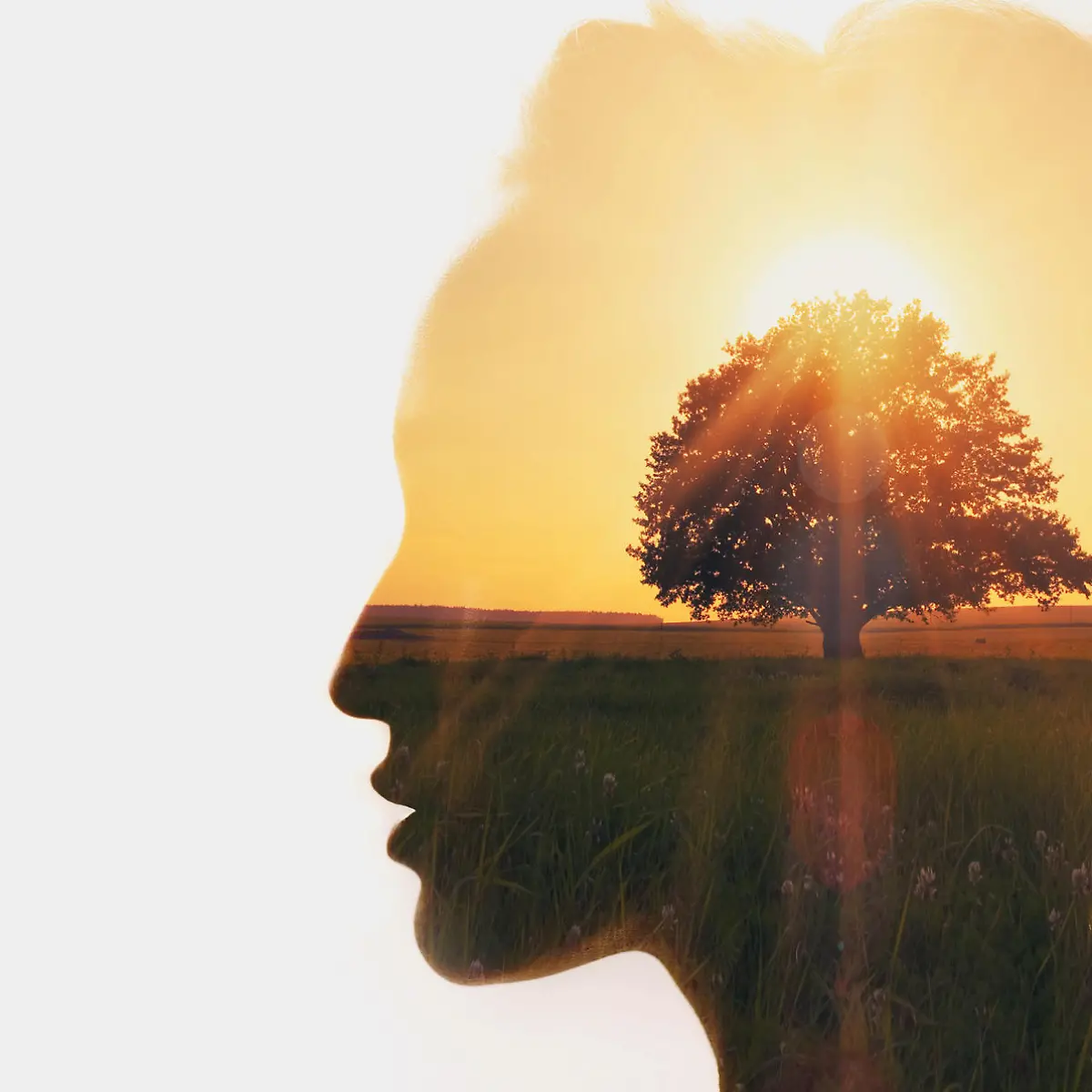 Habitus (beim Menschen) Logo von Habitus (beim Menschen)