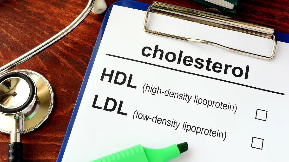 Gesundheitslexikon: HDL
