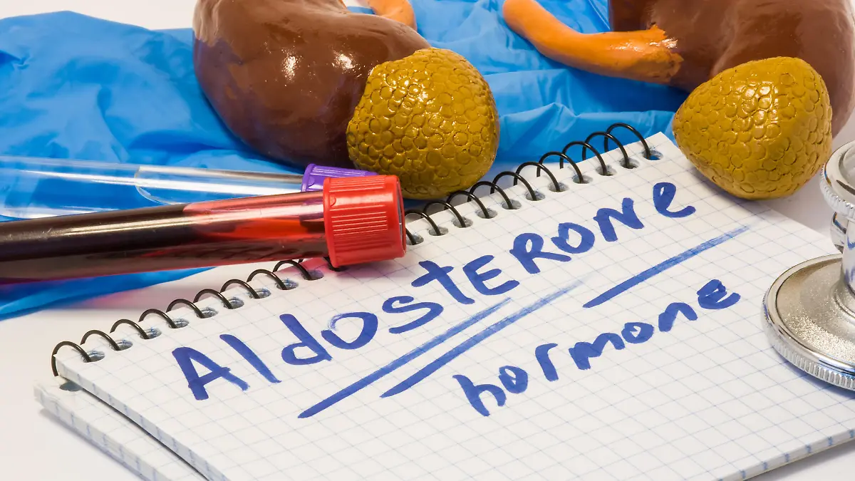 Gesundheitslexikon: Aldosteron ist ein Hormon, das den Wasserhaushalt und den Blutdruck reguliert.