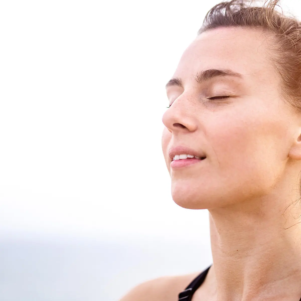 Zilgrei Logo von Zilgrei