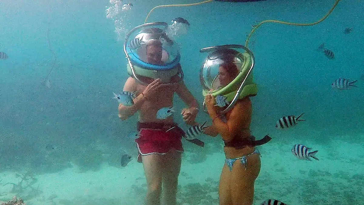 Johannes und Jessica lernen bei einem Unterwasserspazierung die bunte Vielfalt des Ozeans kennen.