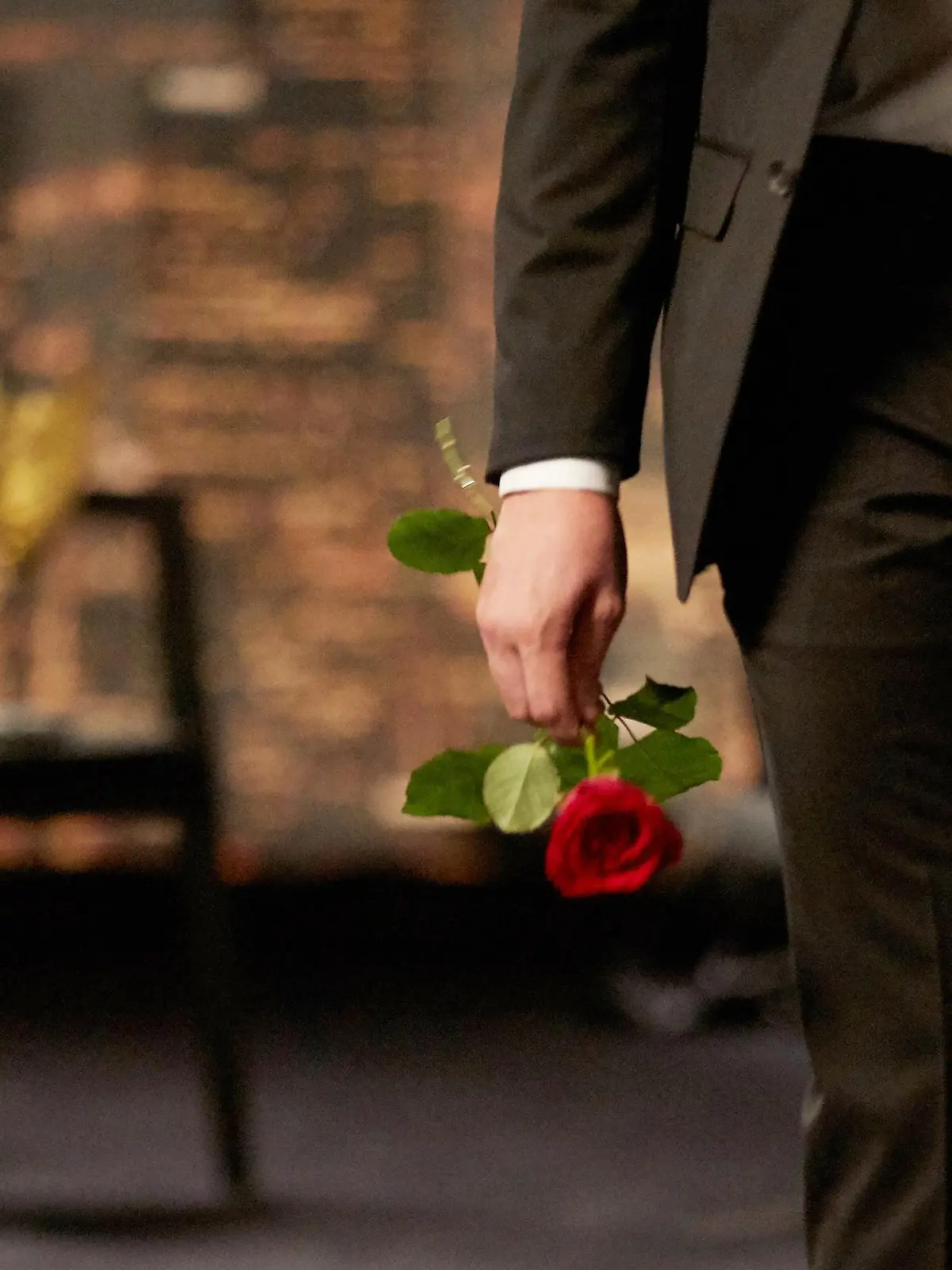 Der Bachelor hat die Qual der Wahl: Zu welchen romantischen Begegnungen wird es kommen? Welchen Damen gelingt es, die Konkurrenz auszustechen und den Bachelor um den Finger zu wickeln?