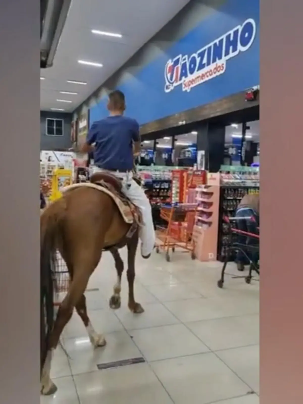 Hier reitet tatsächlich ein Mann auf einem Pferd durch den Supermarkt – und sorgt mit der Aktion für ziemlich viel Aufsehen. In Brasilien scheint das Einkaufen aber sehr tierfreundlich zu sein, denn nach dem Bezahlen spaziert der Mann einfach aus dem Geschäft. Die irre Szene zeigen wir im Video.