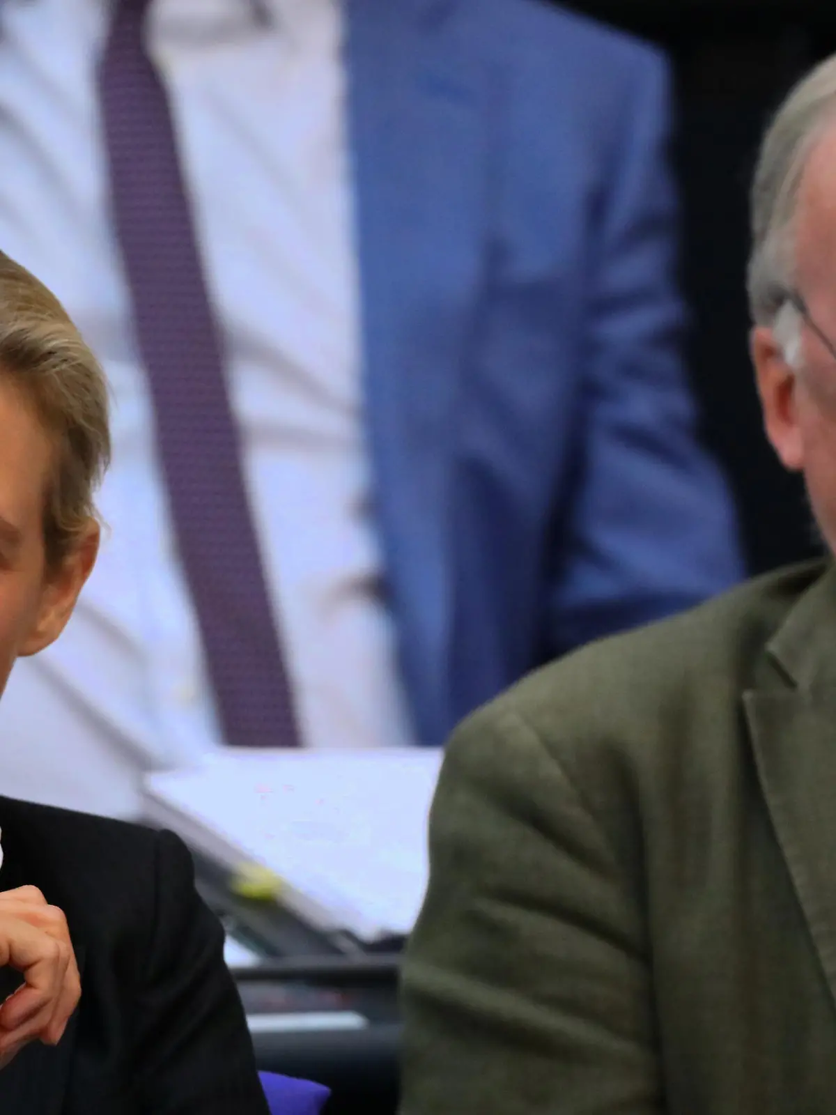 Leaders of Alternative for Germany (AfD) Alexander Gauland and Alice Weidel attend a budget debate at the lower house of parliament Bundestag in Berlin, Germany, July 4, 2018.   REUTERS/Hannibal Hanschke