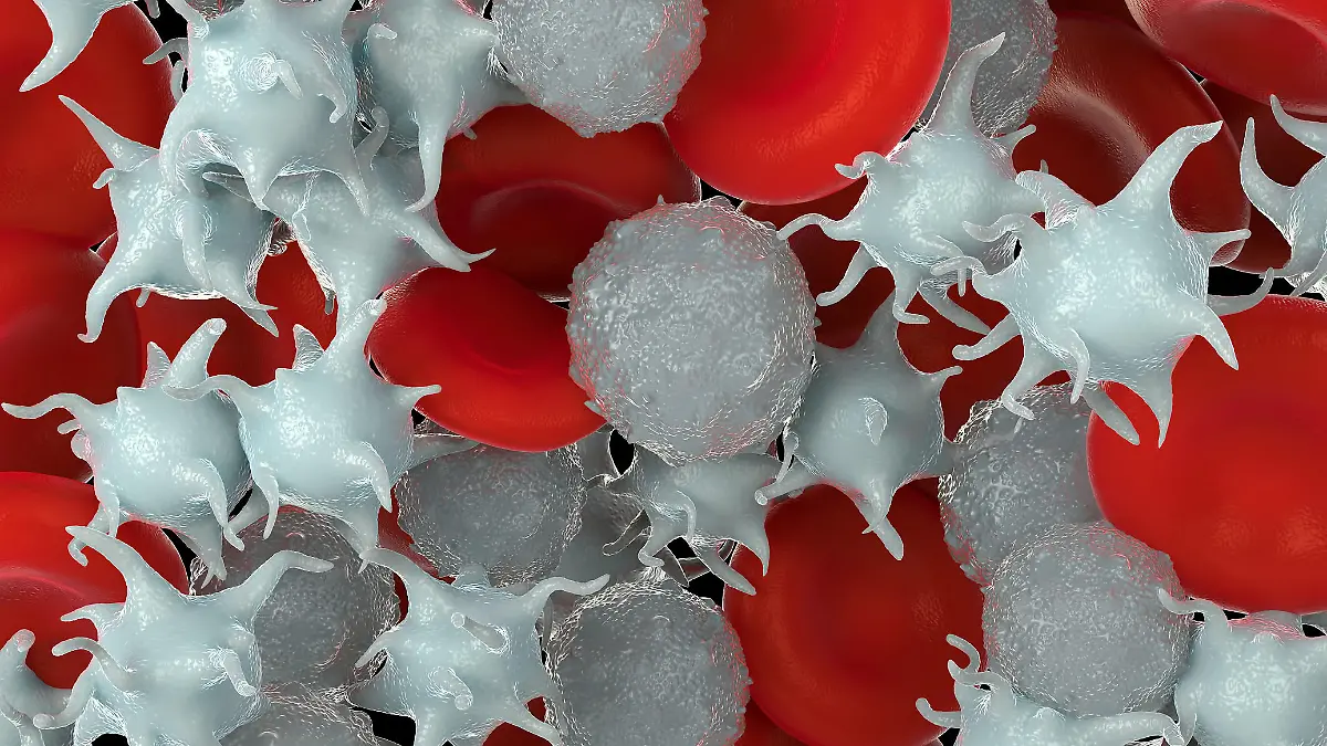 Gesundheitslexikon: Thrombozytopenie