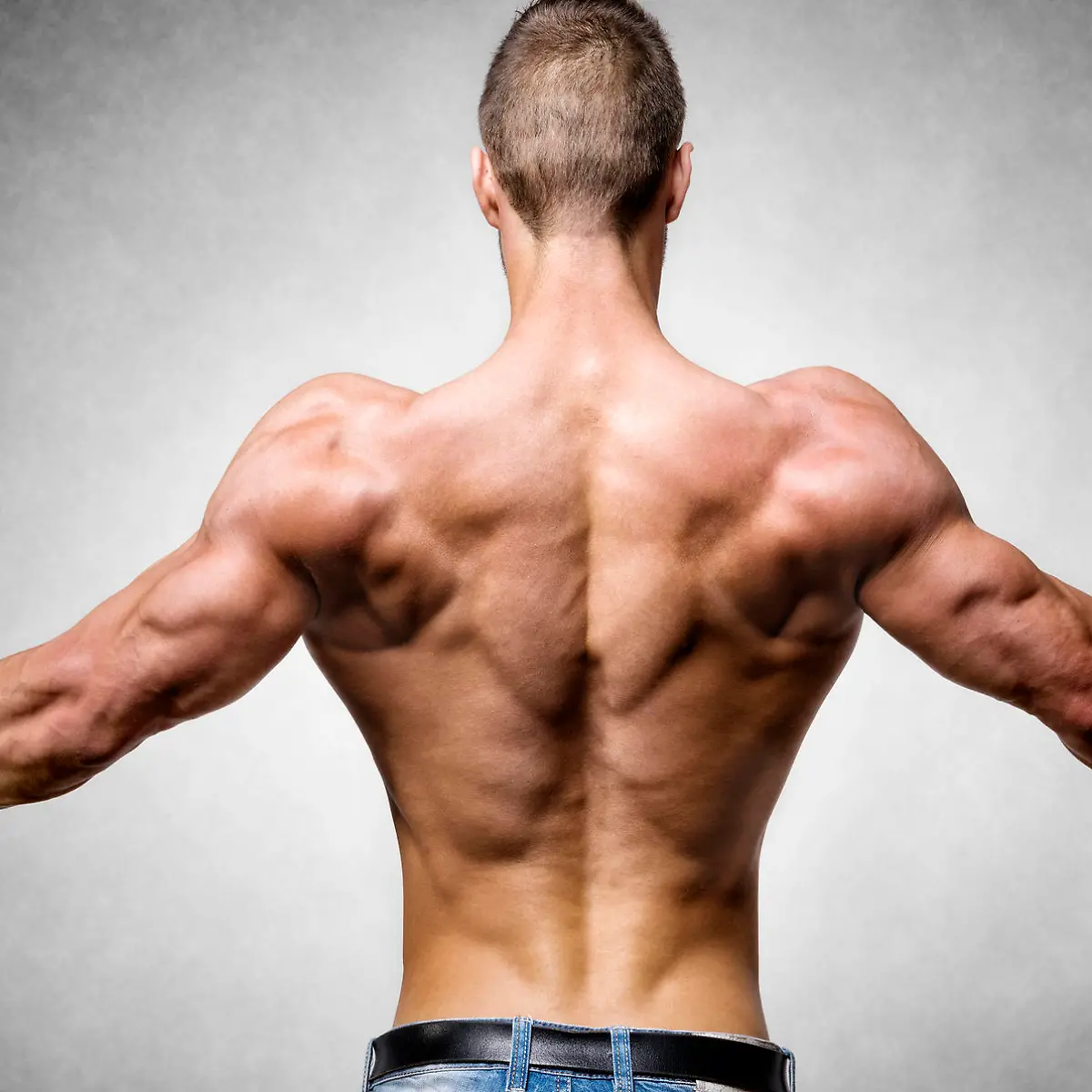 Trizeps Logo von Trizeps