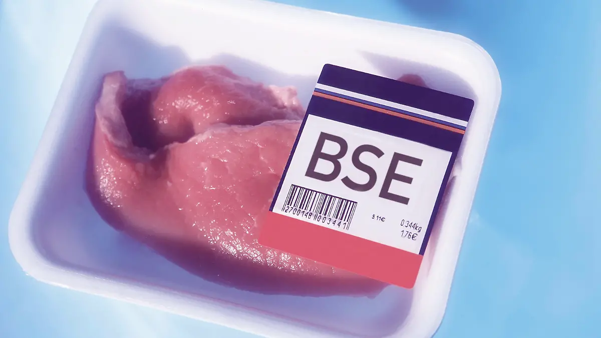 Abgepacktes Rindfleisch.