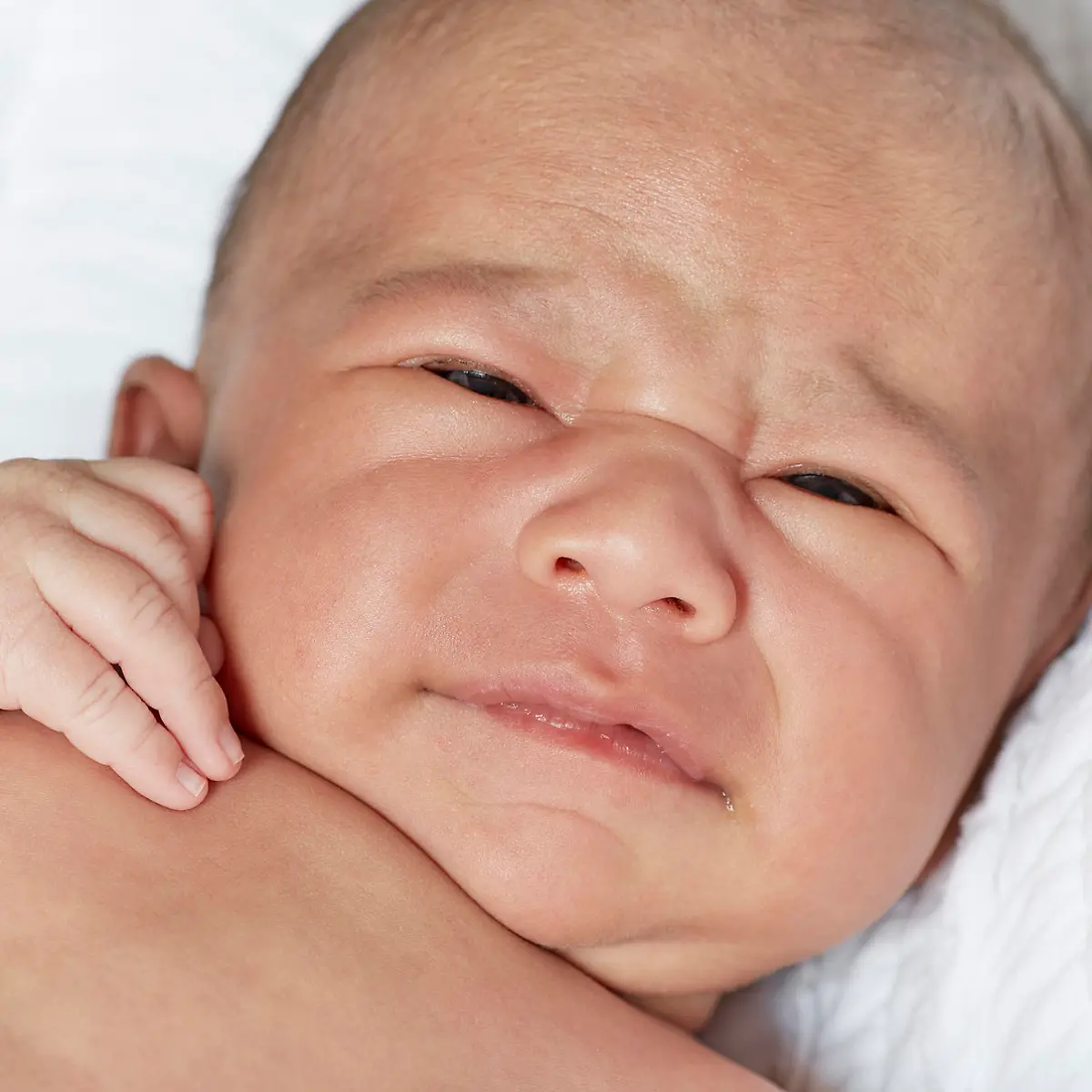 Hodenhochstand Logo von Hodenhochstand