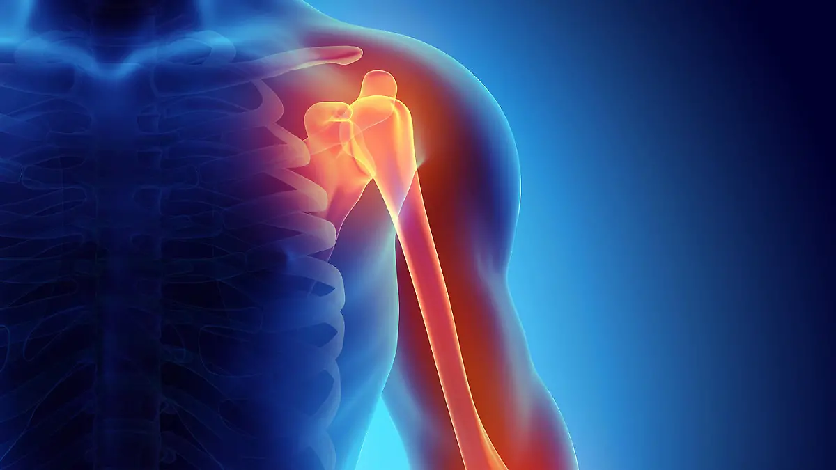 Gesundheitslexikon: Humerus