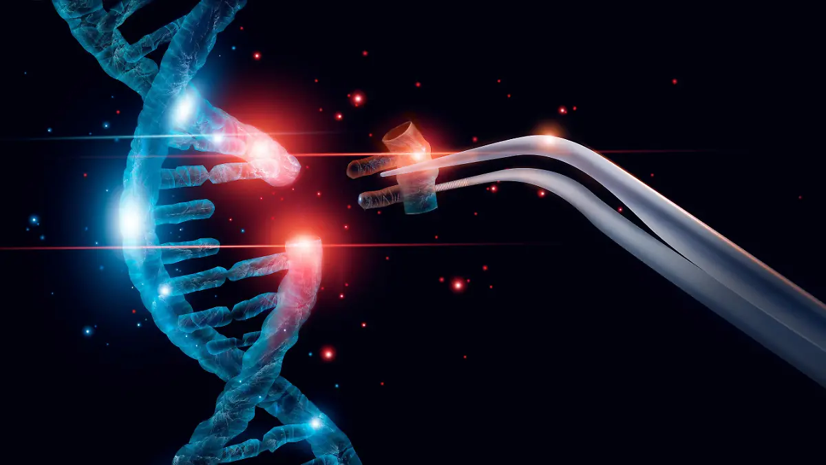 Gesundheitslexikon: Mutation