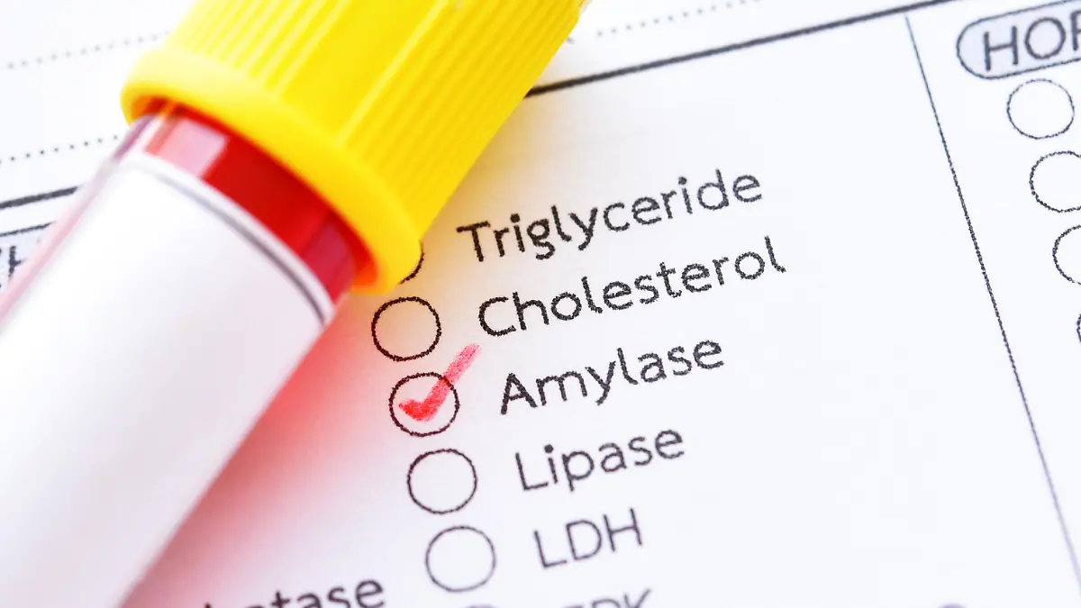 Gesundheitslexikon: Amylase ist ein Enzym, das Stärke in Zucker aufspaltet