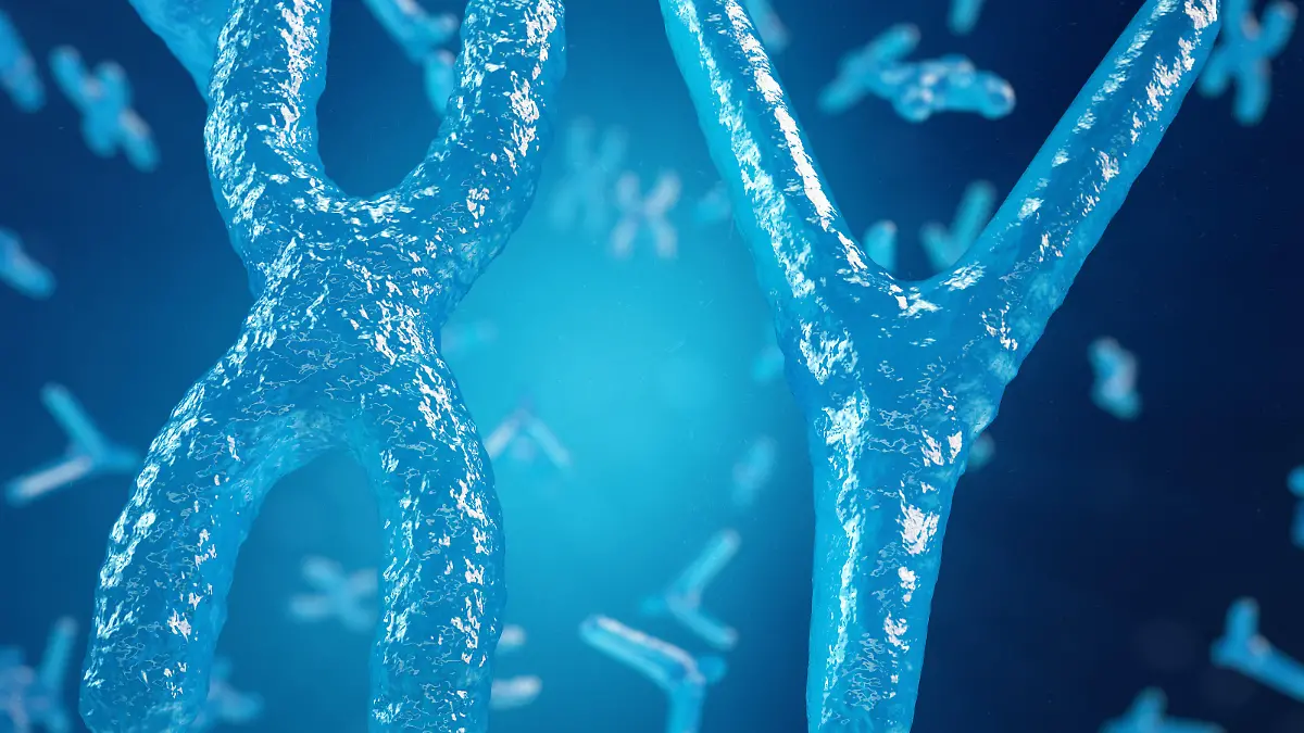 Eugenik: Lehre von der Verbesserung des biologischen Erbgutes des Menschen verstanden