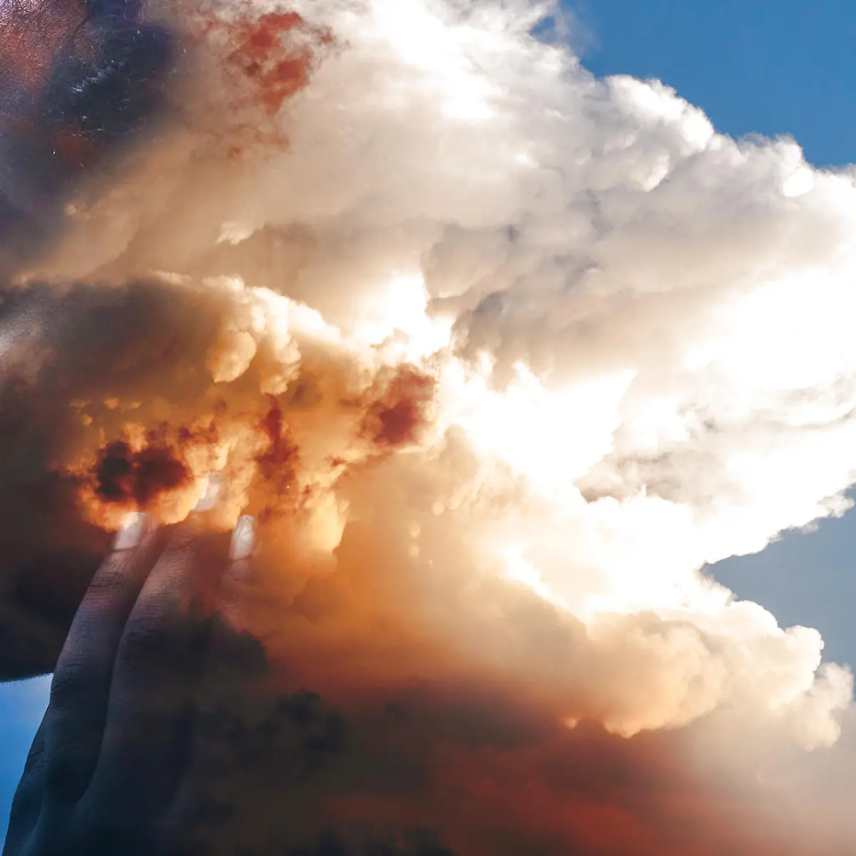 Halluzinationen Logo von Halluzinationen