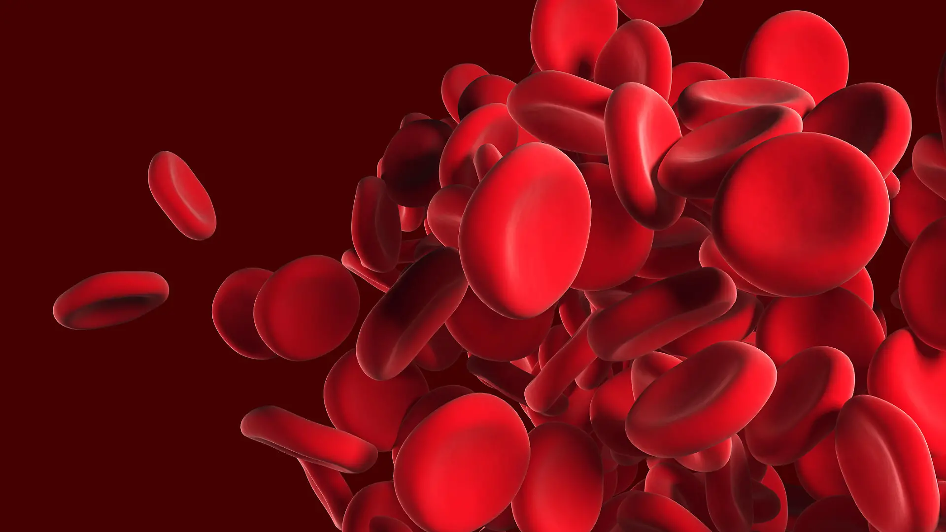 Gesundheitslexikon: rote Blutkörperchen (Erythrozyten)