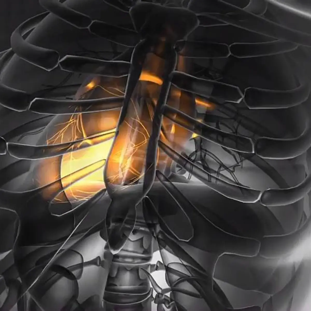 WPW-Syndrom Logo von WPW-Syndrom