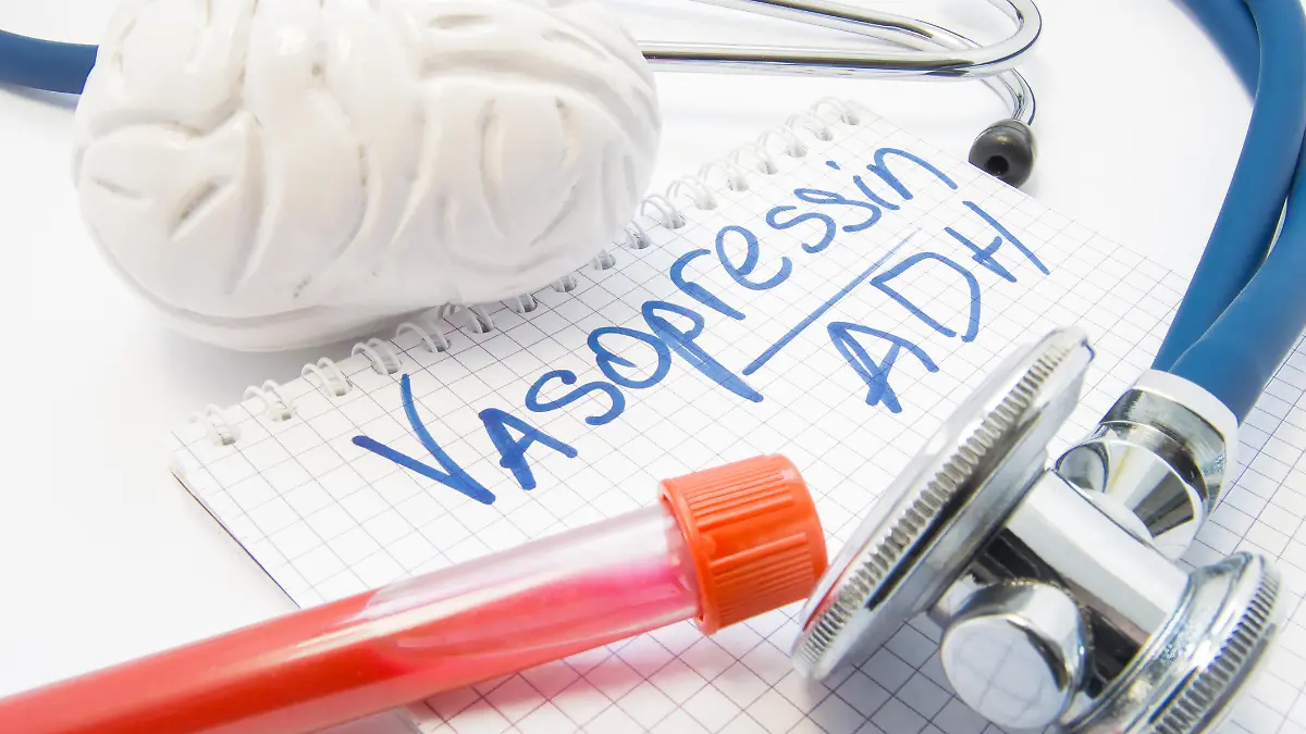 Gesundheitslexikon: Das Antidiuretische Hormon (ADH) ist ein Peptidhormon