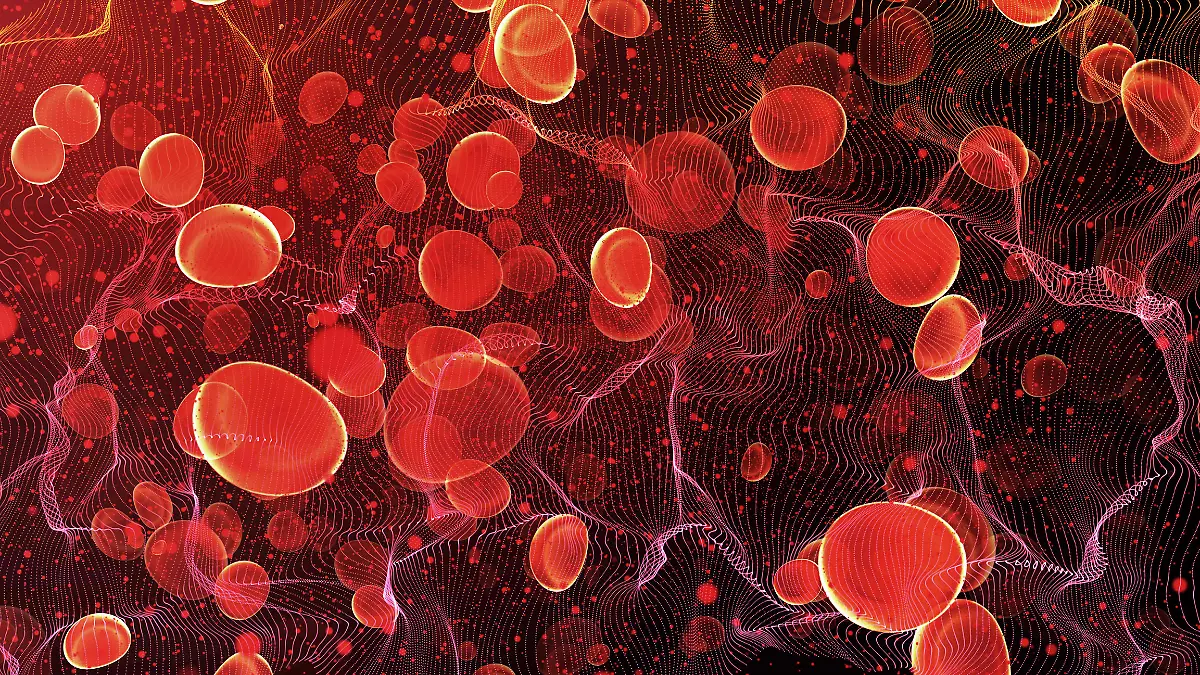 Gesundheitslexikon: Albumin ist das häufigste Protein im Blutplasma – es macht etwa 60 Prozent der gesamten Proteine im Blut aus.