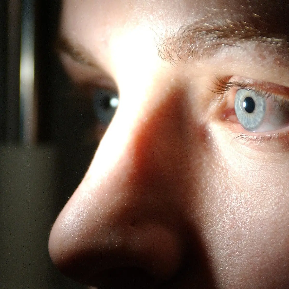 Hornhaut (Cornea) Logo von Hornhaut (Cornea)