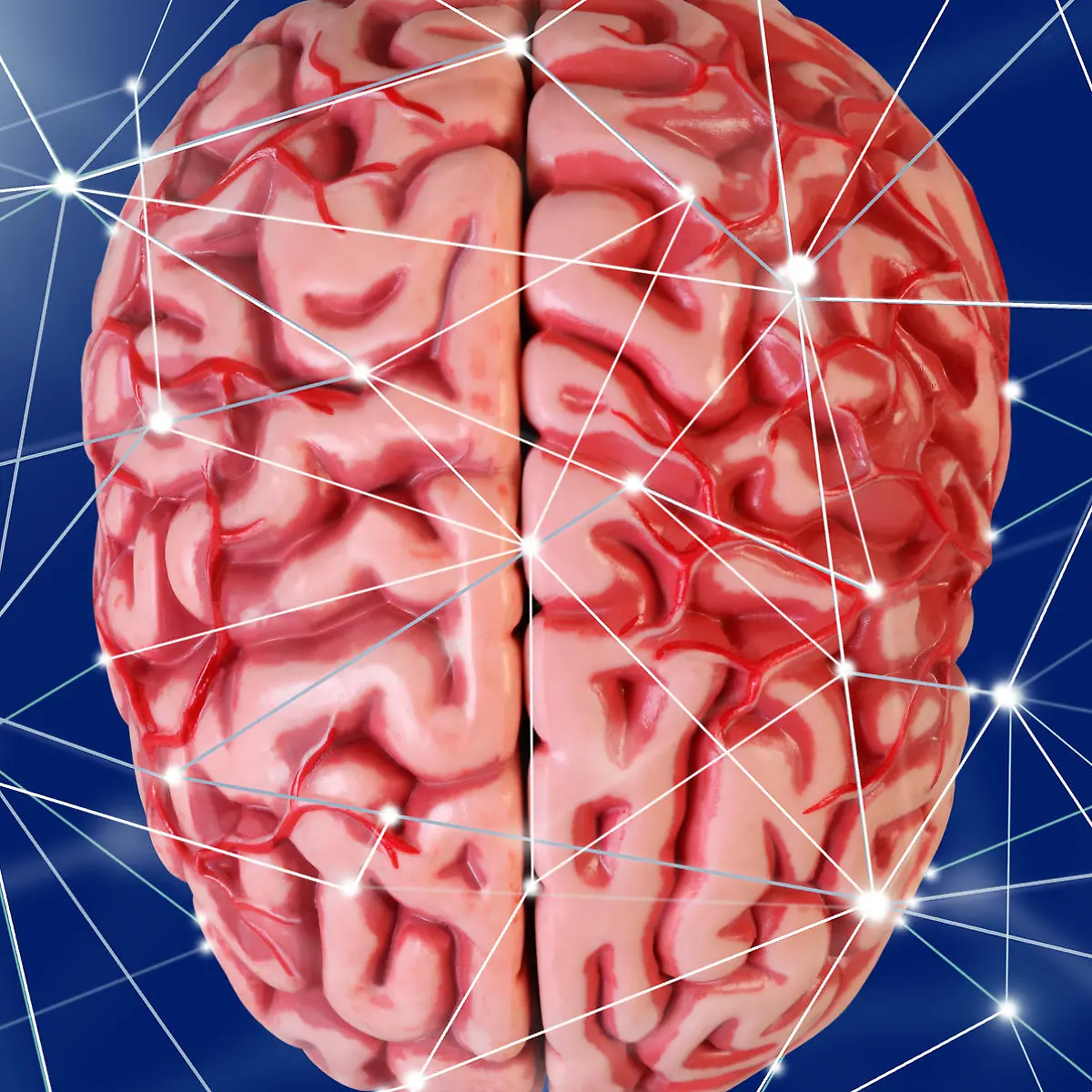 Homunculus Logo von Homunculus