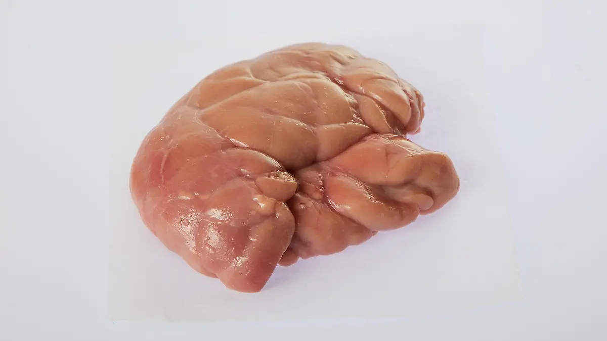 Gesundheitslexikon: Thymus