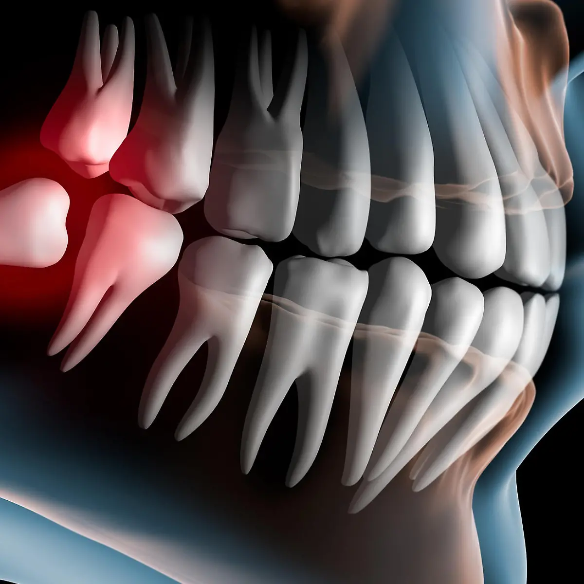 Weisheitszähne Logo von Weisheitszähne