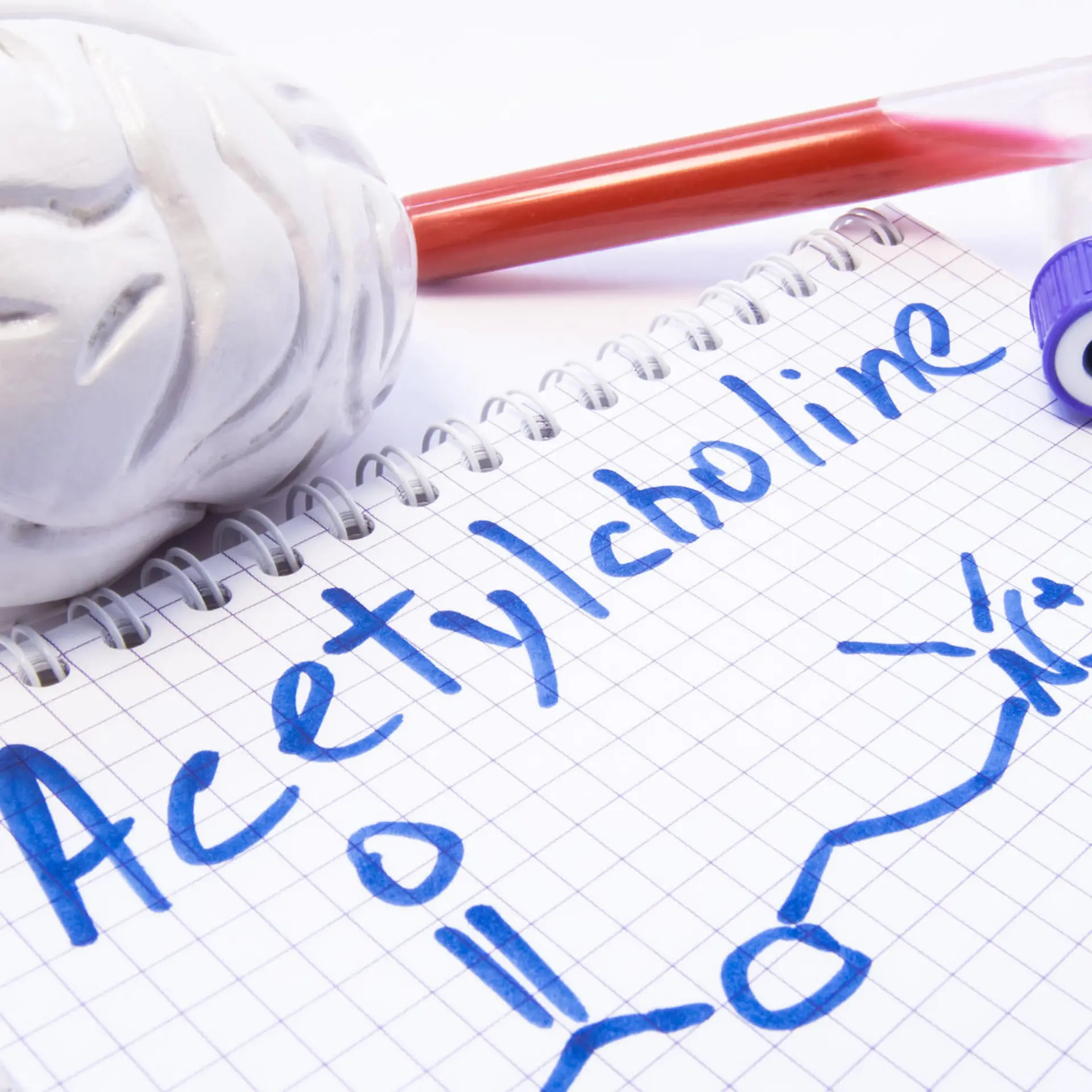 Acetylcholin Logo von Acetylcholin