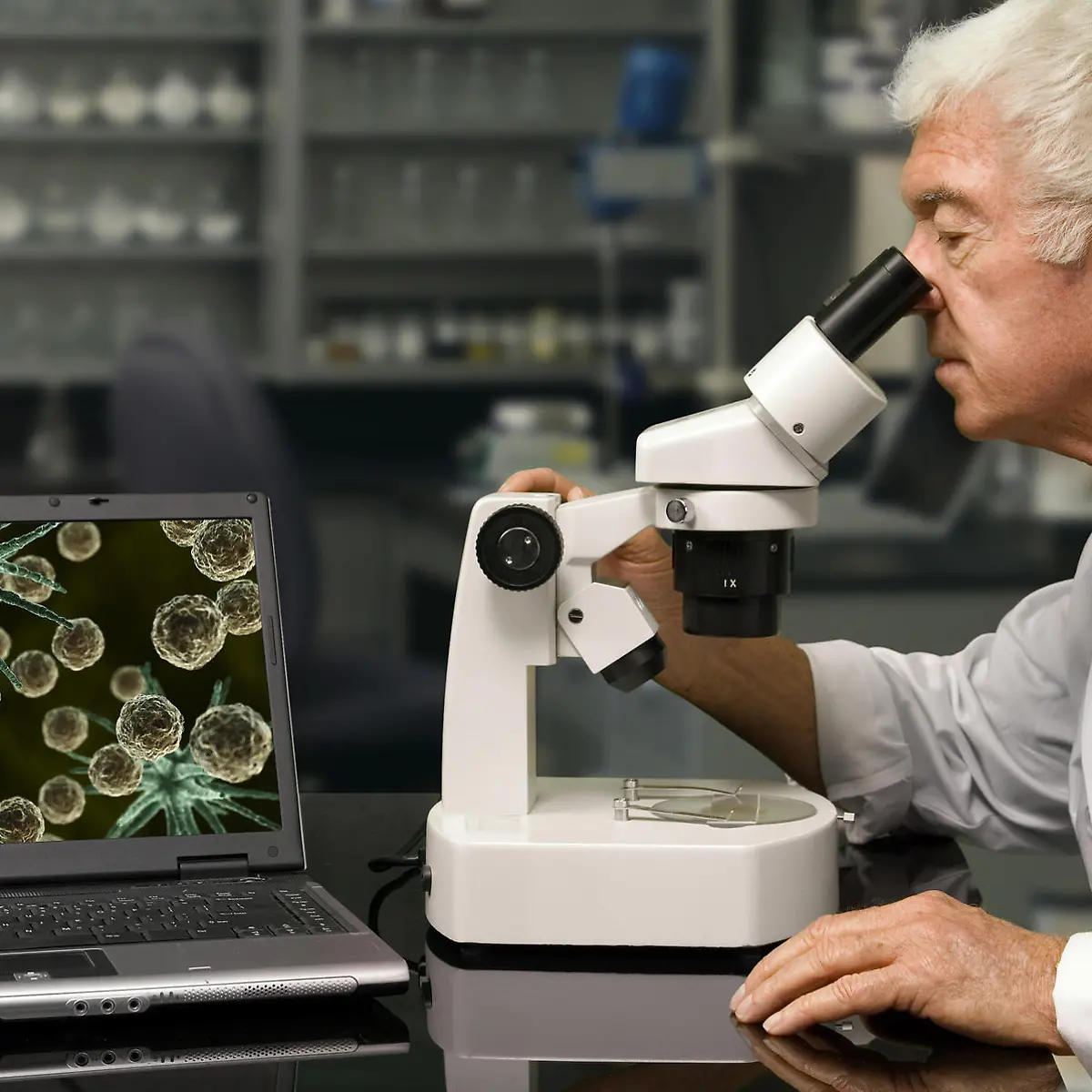 Zytologie (Zellbiologie) Logo von Zytologie (Zellbiologie)