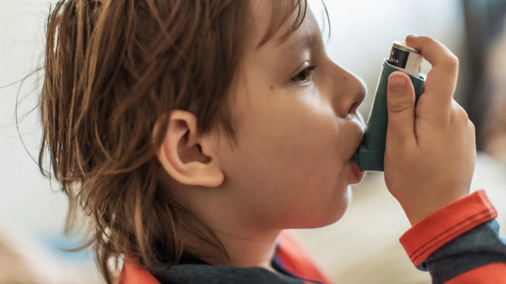 Die Bedeutung inhalierter Aerosole in der Medizin ist schon lange anerkannt.