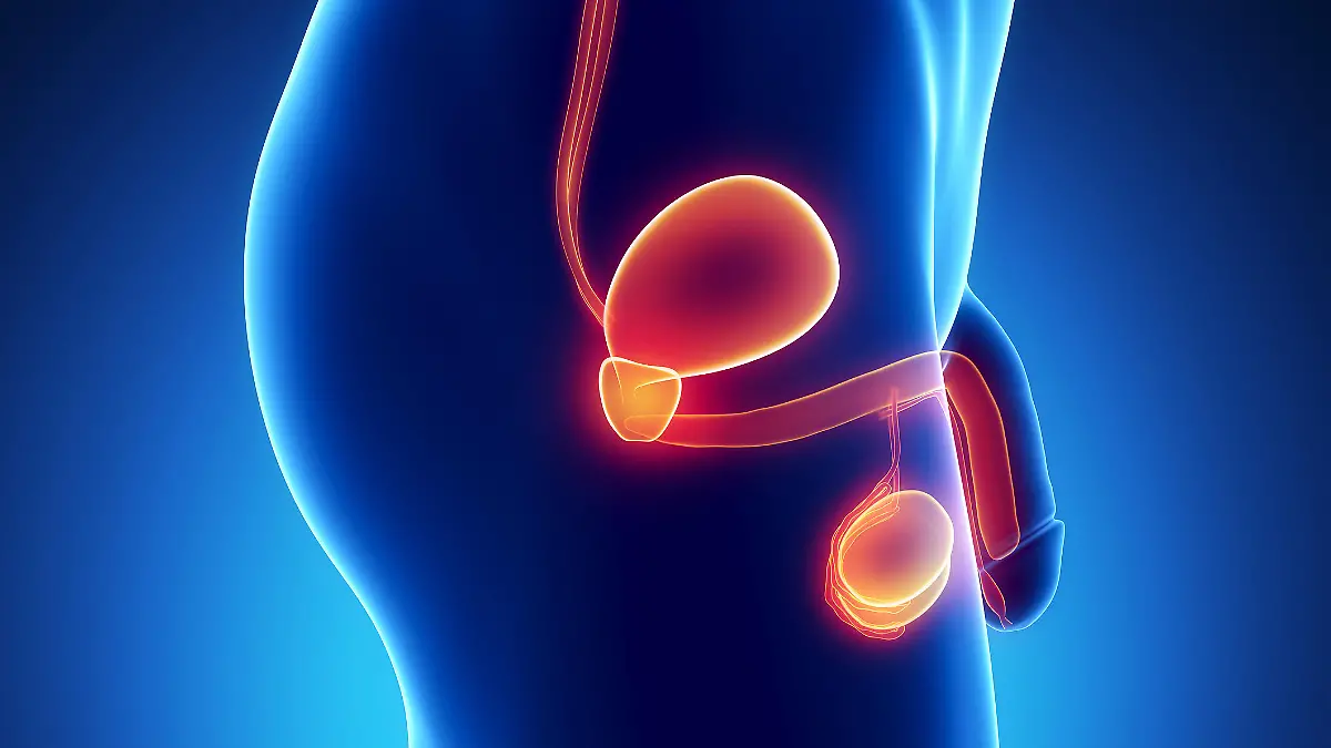 Gesundheitslexikon: Hypospadie