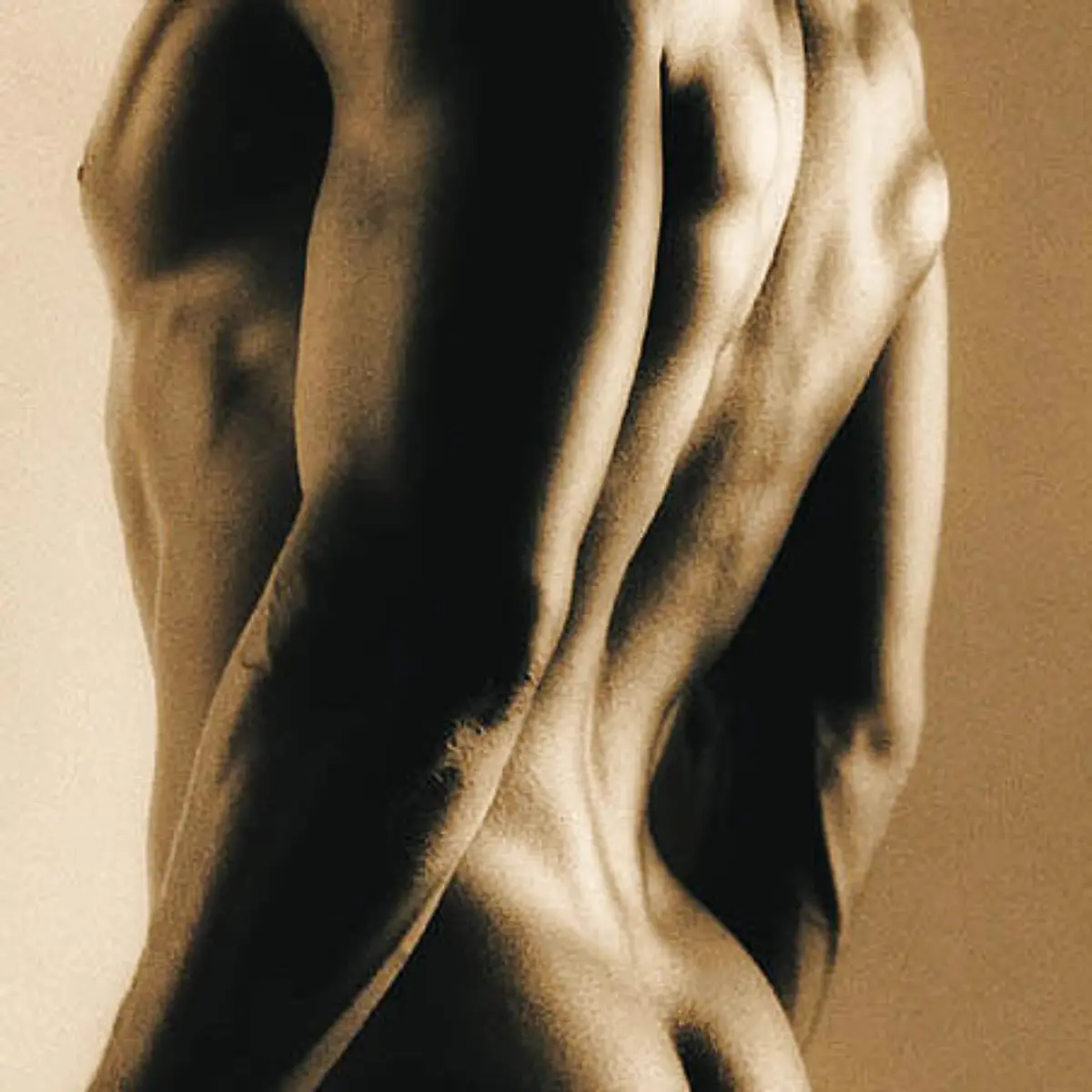 Muskel (Muskulatur) Logo von Muskel (Muskulatur)