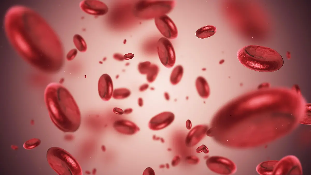 Calcitonin ist ein Hormon, das den Kalzium- und Phosphathaushalt steuer