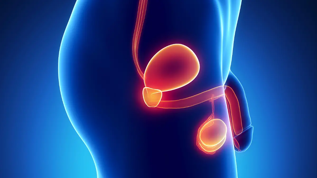 urethrale befriedigung TURP: Beschreibung & Ursachen