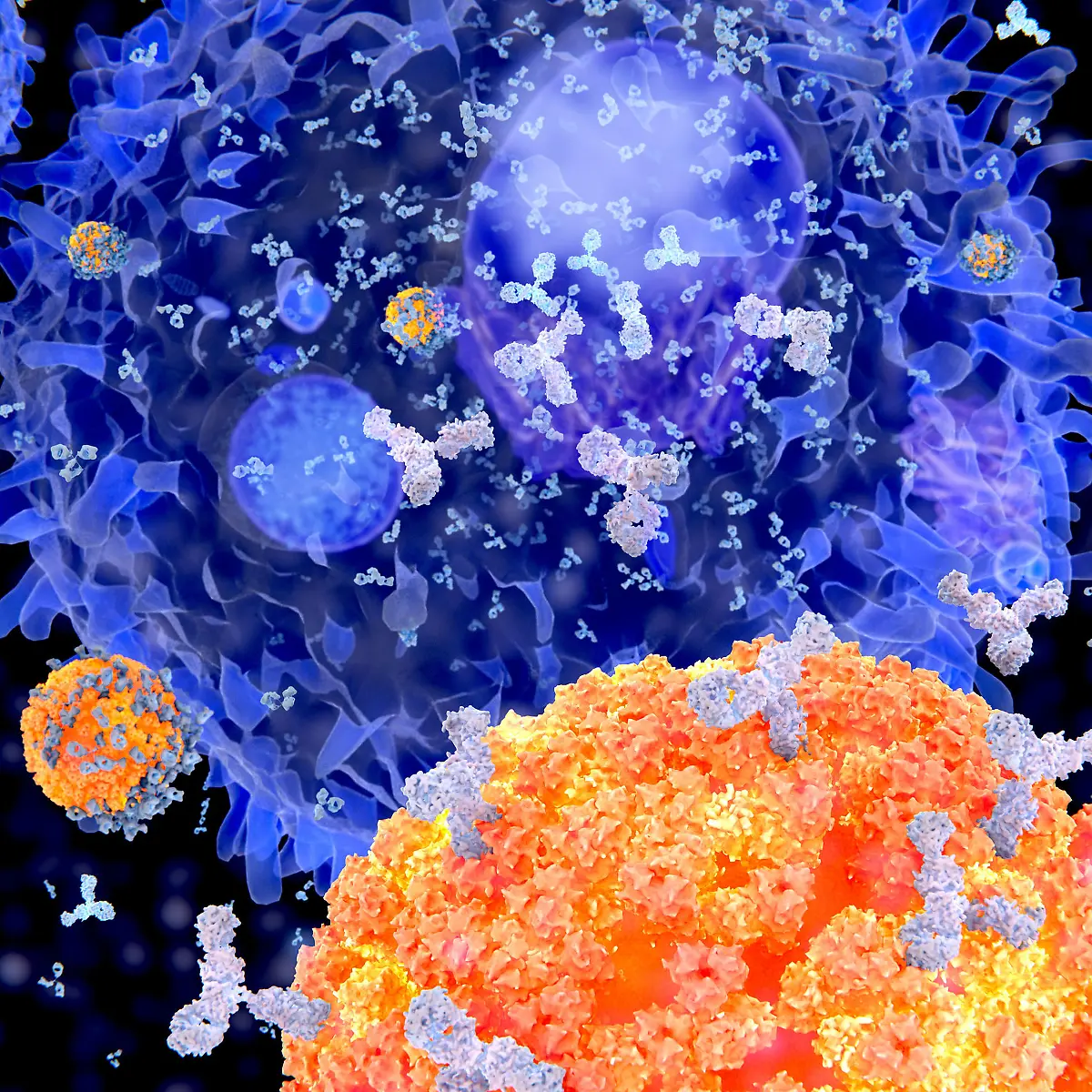 Vektor Logo von Vektor