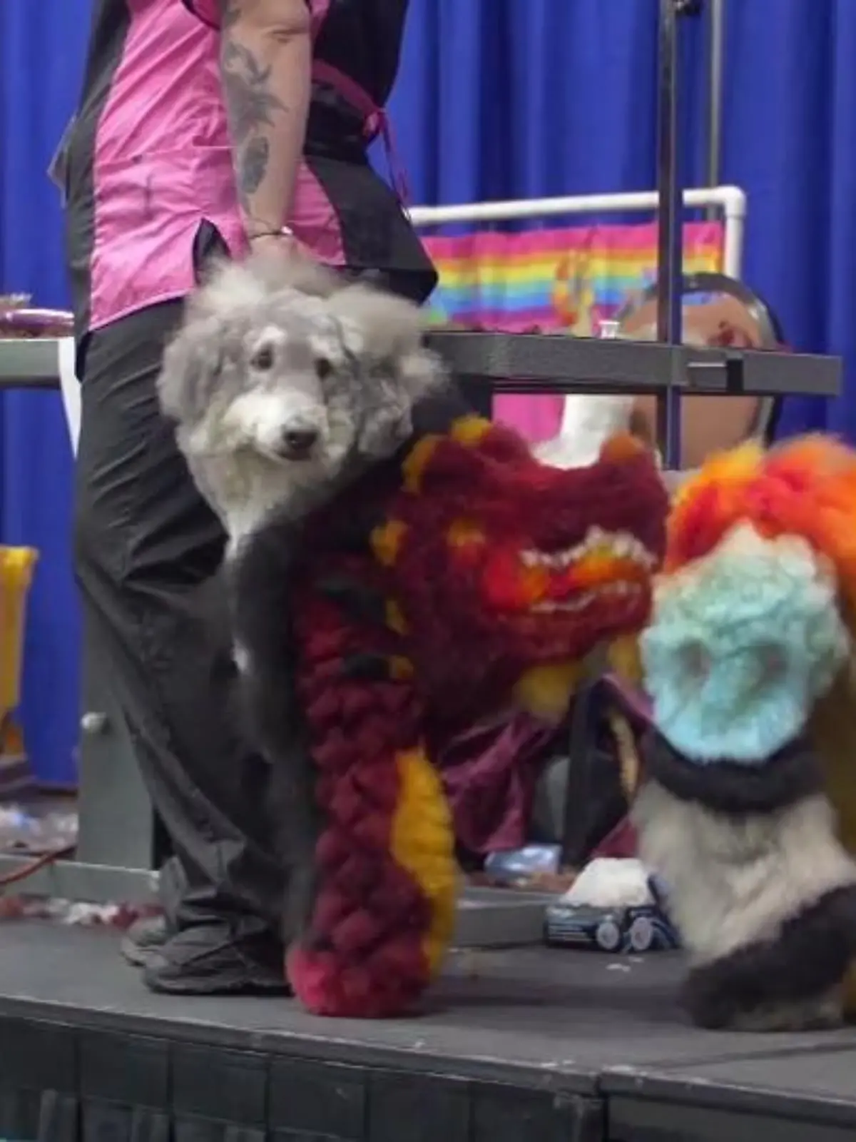 Hundestyling extrem