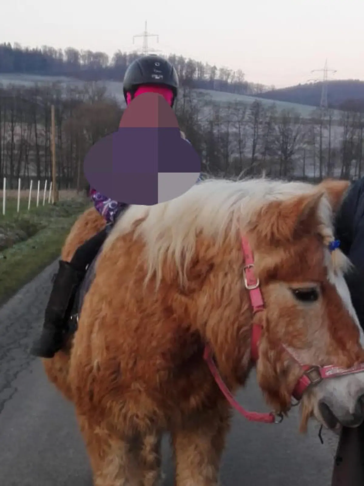 Campingplatz Vergewaltiger Mia und Addy (c) RTL 1 bearbeitet neu.jpg